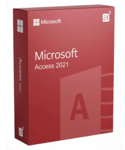 Microsoft Access ของเเท้