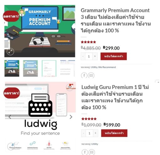 Grammarly Ludwig