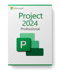 Project Professional 2024