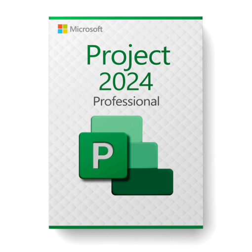 Project Professional 2024