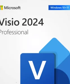 Visio 2024 pro ของเเท้